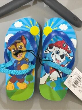 Paw Patrol Blue